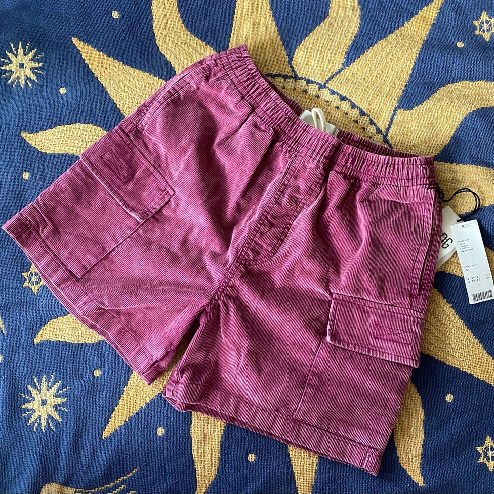 BDG Cargo Shorts in Purple